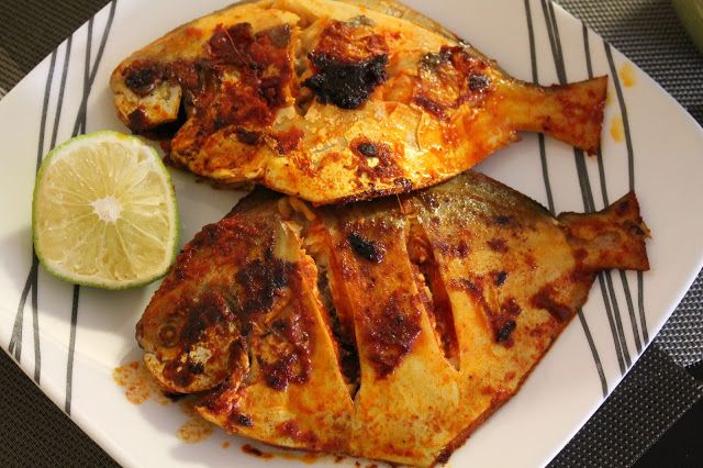 Golden pomfret Fry